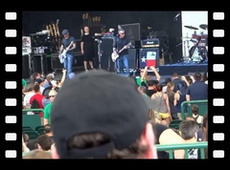 Toadies