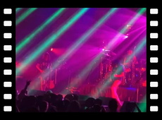 Pigeons Playing Ping Pong