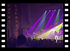 PIGEONS PLAYING PING PONG - Pop Off & Distant Times & Shine on & rocket man WORCESTER 2024