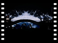 2025 - Madison Square Garden